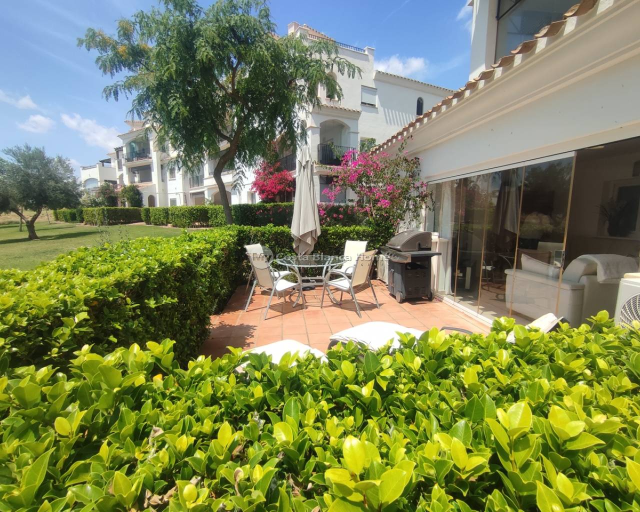 Apartment - Resale - Hacienda Riquelme Golf Resort - CS1-40174