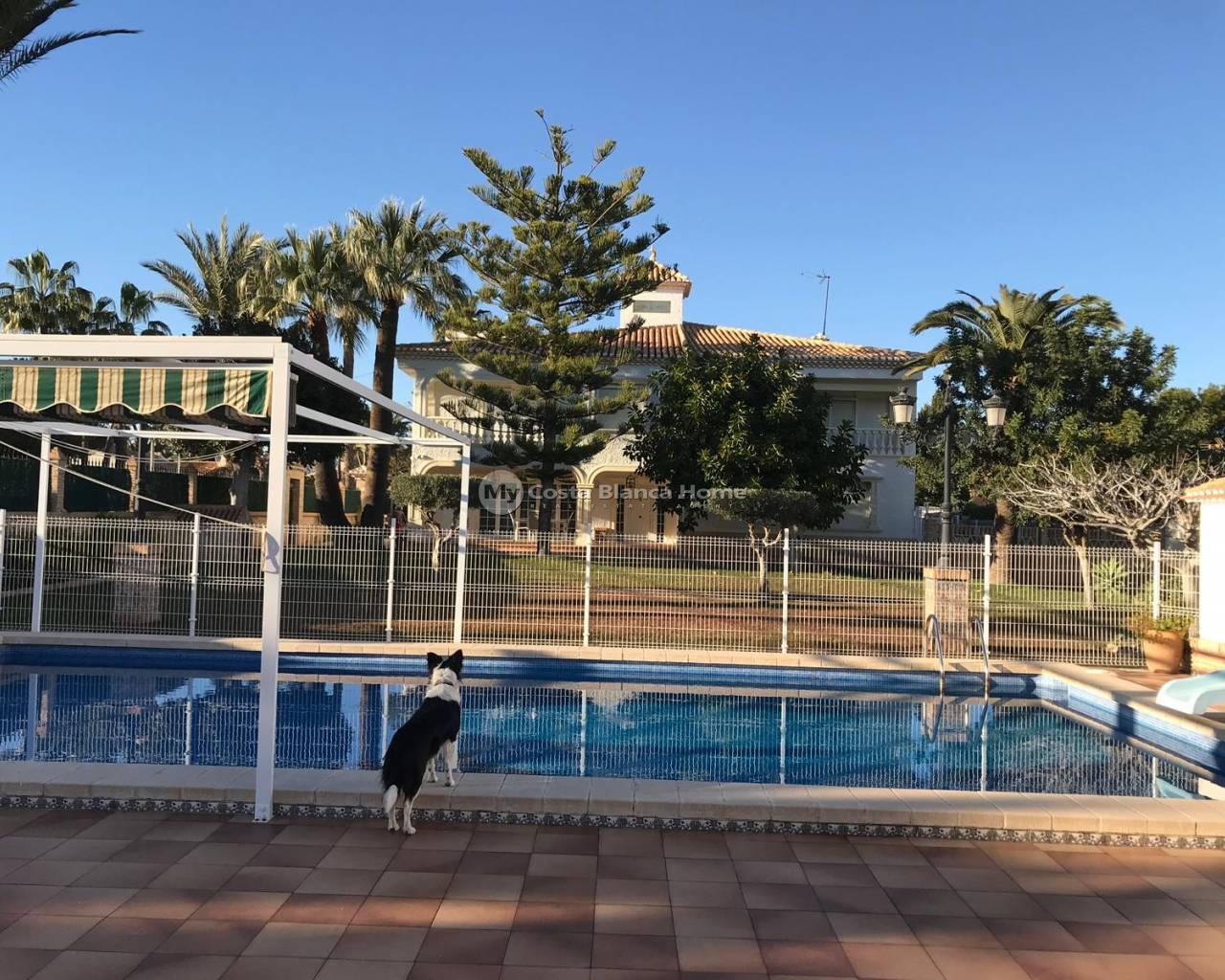 Detached Villa - Resale - Orihuela Costa - Cabo Roig