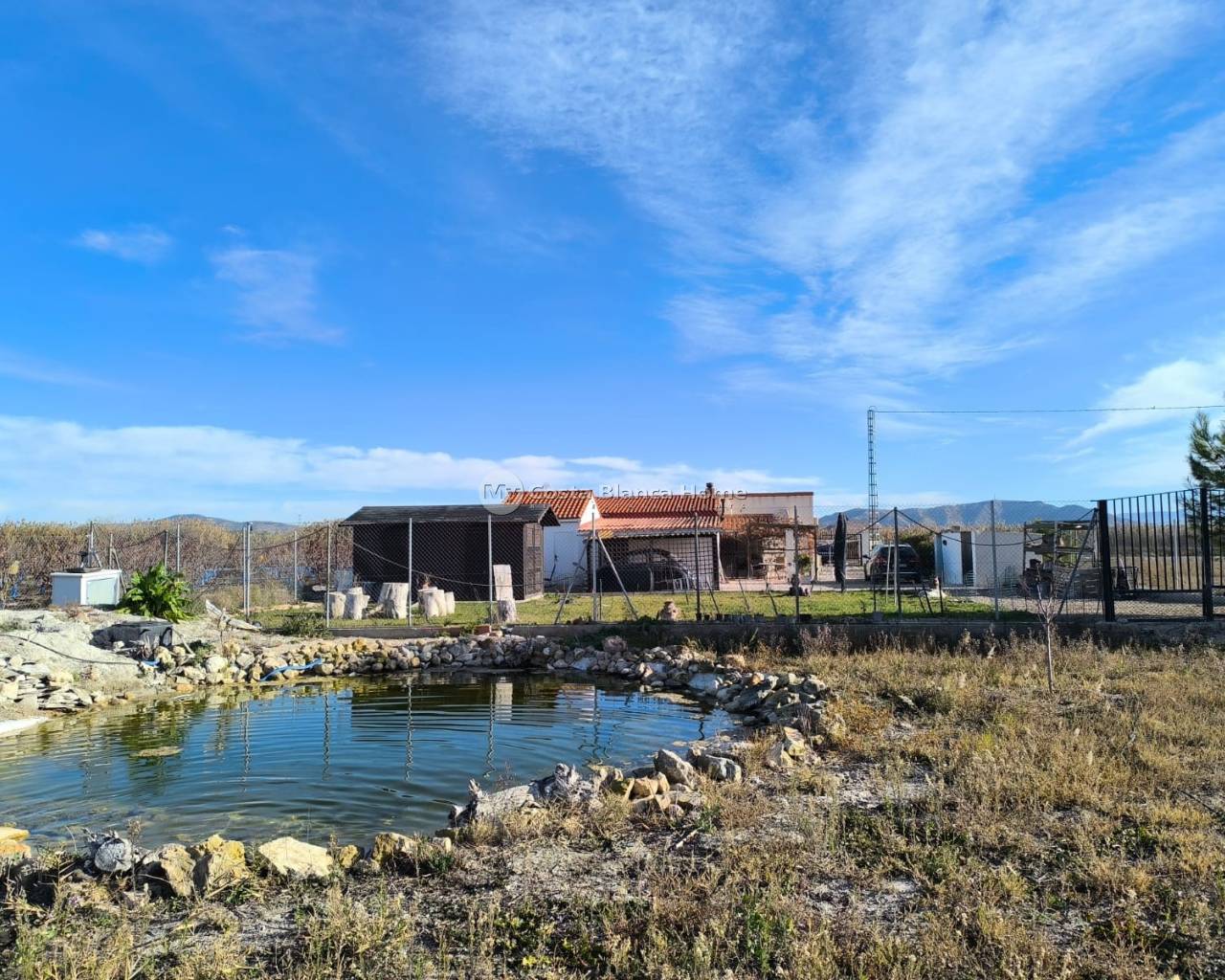 Detached Villa - Resale - Villena - Rural location