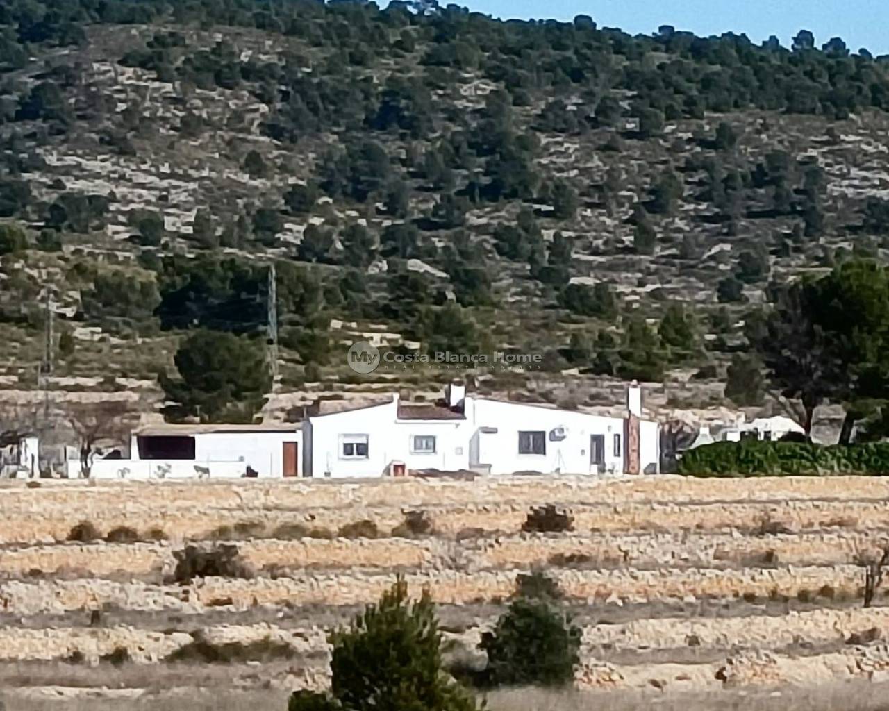 Equestrian property - Resale - Monovar - Monovar