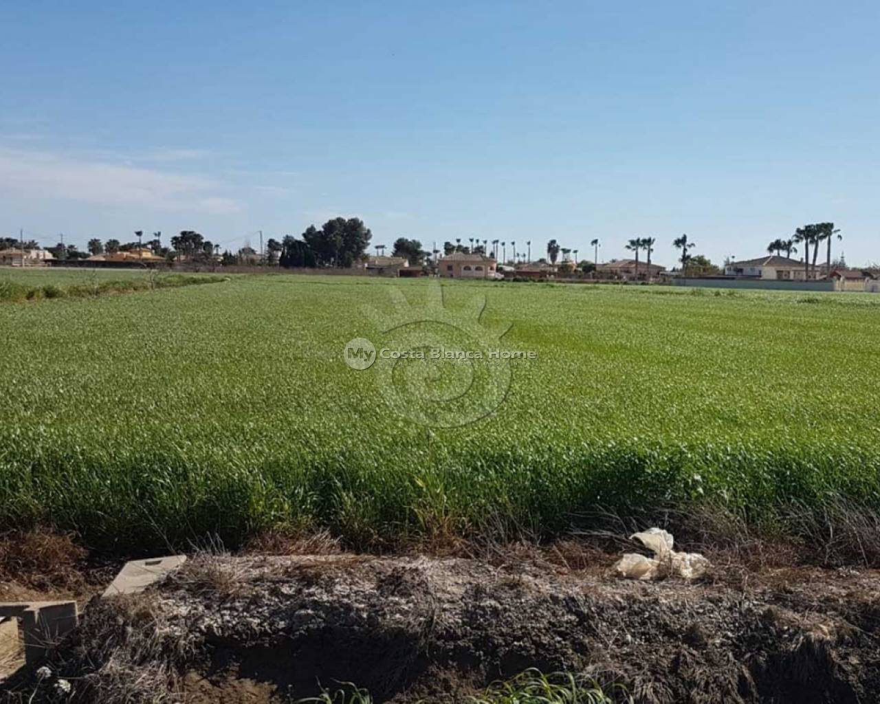 Plots and Land - Resale - Catral - Catral Alicante