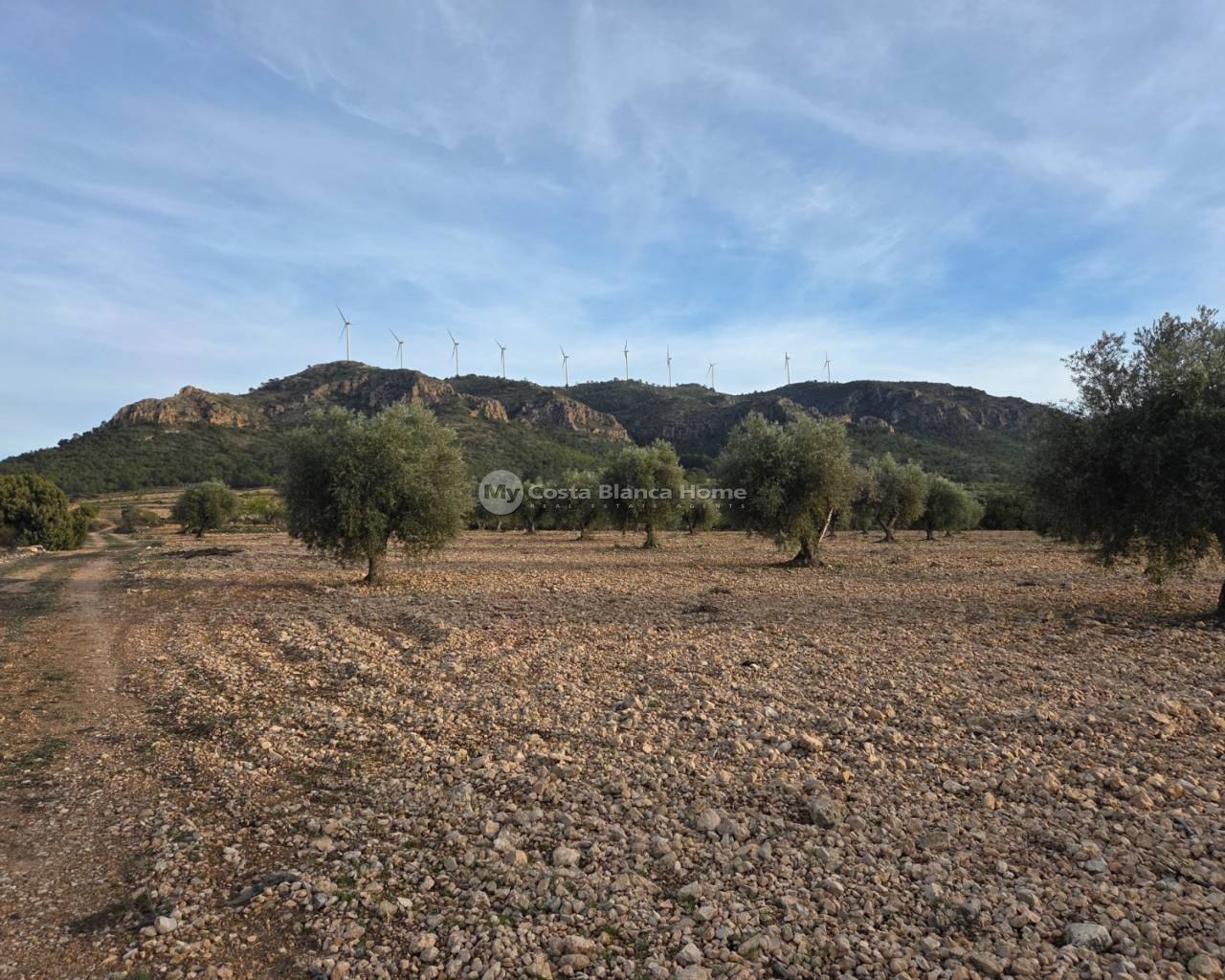 Plots and Land - Resale - Jumilla - Jumilla