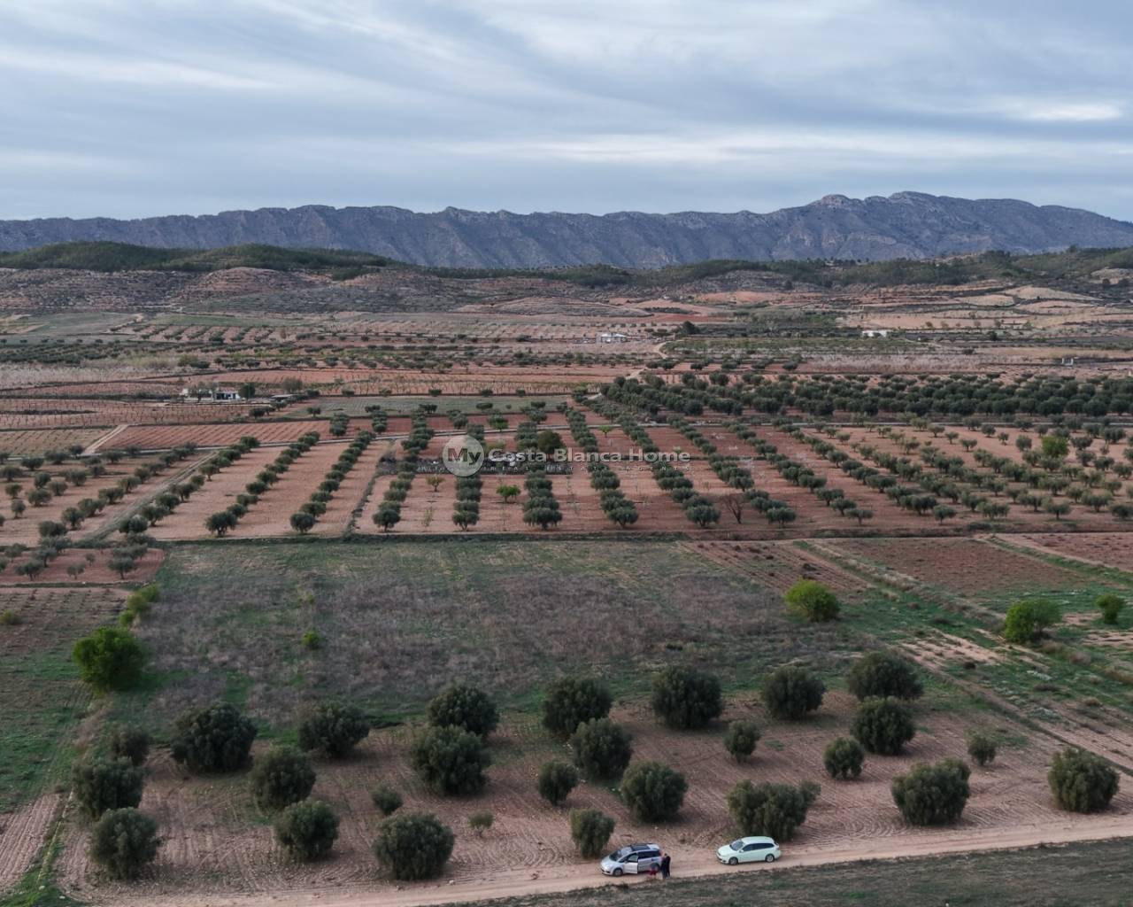 Plots and Land - Resale - Jumilla - Jumilla