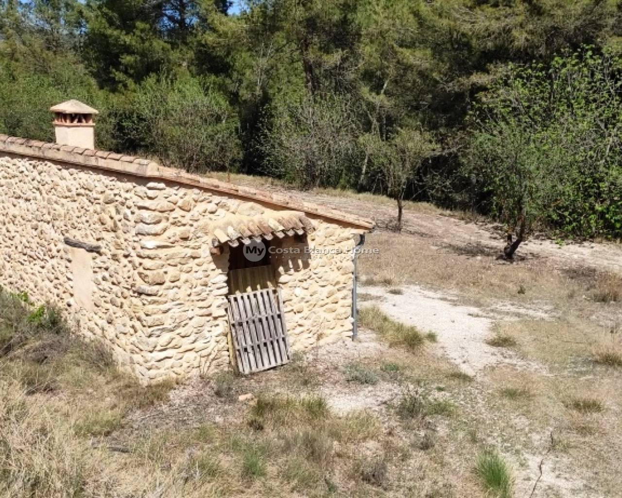 Plots and Land - Resale - Penaguila - CS17-44095