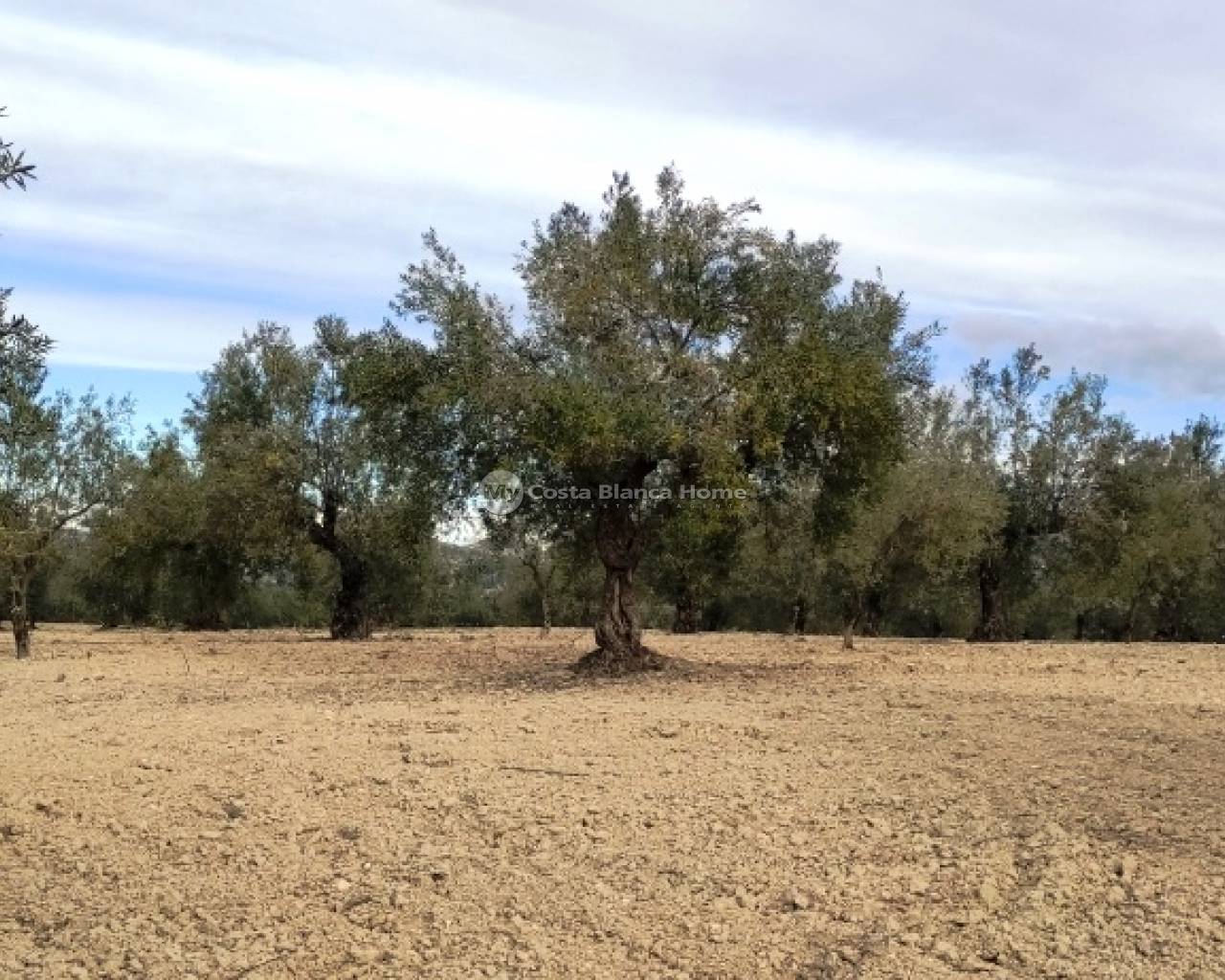 Plots and Land - Resale - Penaguila - Penáguila