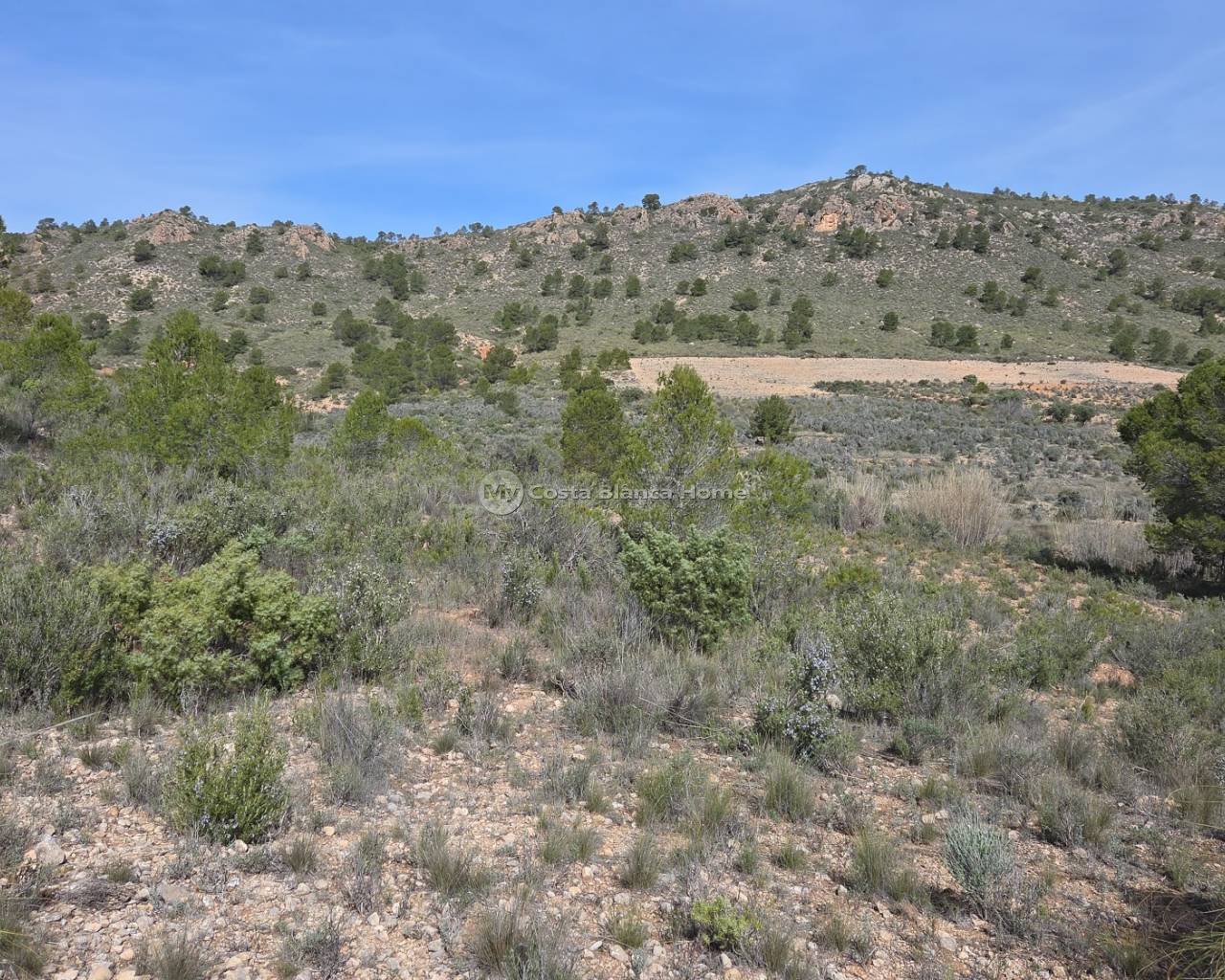 Plots and Land - Resale - Yecla - Yecla