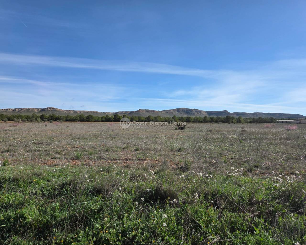 Plots and Land - Resale - Yecla - Yecla