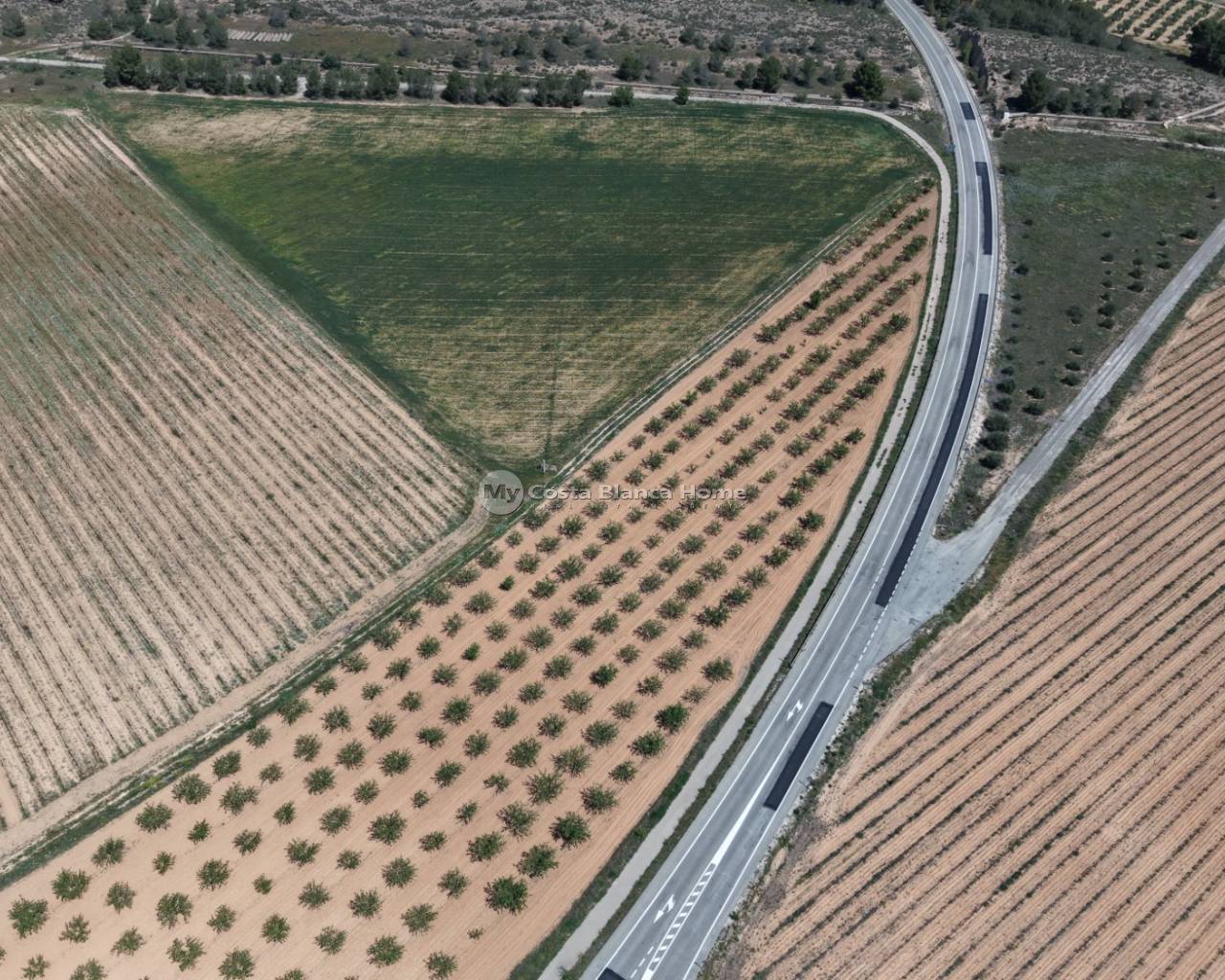 Plots and Land - Resale - Yecla - Yecla