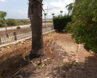 Resale - Apartment - Algorfa - La Finca Golf Resort