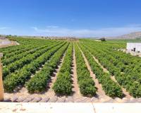 Resale - Apartment - Algorfa - Pueblo