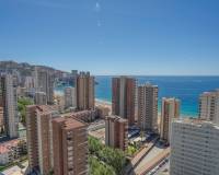Resale - Apartment - Benidorm - Benidorm - City