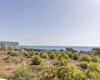 Resale - Apartment - Guardamar Del Segura - El Raso
