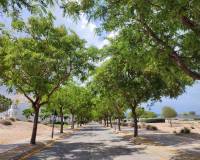 Resale - Apartment - Hacienda Riquelme Golf Resort - Hacienda Riquelme Golf Resort - Centre