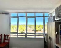 Resale - Apartment - La Siesta