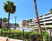 Resale - Apartment - Orihuela Costa - Playa Flamenca