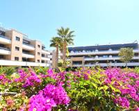 Resale - Apartment - Orihuela Costa - Playa Flamenca