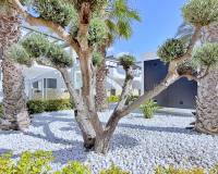 Resale - Apartment - Orihuela Costa - Punta Prima