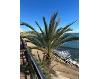 Resale - Apartment - Orihuela Costa - Punta Prima