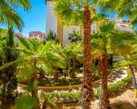 Resale - Apartment - Torrevieja - Playa Los Locos