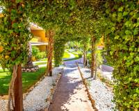 Resale - Apartment - Torrevieja - Punta Prima