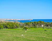 Resale - Apartment - Torrevieja - Rocio del Mar