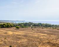 Resale - Apartment - Torrevieja - Rocio del Mar