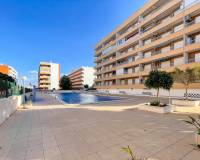 Resale - Apartment - Torrevieja - Rocio del Mar