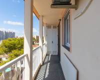 Resale - Apartment - Torrevieja - Rocio del Mar