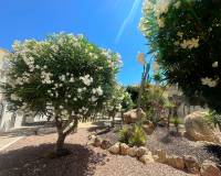 Resale - Apartment - Torrevieja - Torre La Mata