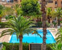 Resale - Apartment - Torrevieja - Torrevieja - Aguas Nuevas