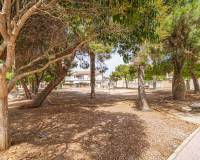Resale - Apartment - Torrevieja - Torrevieja - Centre