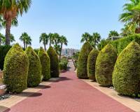 Resale - Apartments - Orihuela Costa - Playa Flamenca