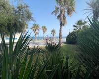 Resale - Commercial Property - Torrevieia - Comunidad Valenciana