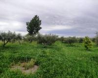 Resale - Country House - Albaida