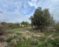 Resale - Country House - Albatera - AlbateraAlicanteValenciaSpain