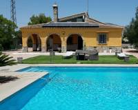 Resale - Country House - Albatera - AlbateraAlicanteValenciaSpain
