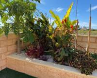 Resale - Country House - Albatera - AlbateraAlicanteValenciaSpain