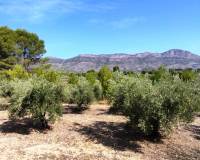 Resale - Country House - Alcocer De Planes - Alcocer de Planes