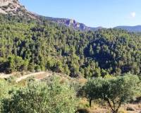 Resale - Country House - Benasau