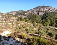 Resale - Country House - Benasau