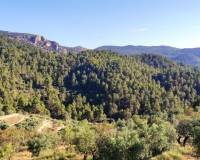 Resale - Country House - Benasau