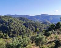 Resale - Country House - Benasau