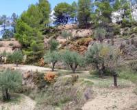 Resale - Country House - Benasau