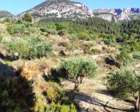 Resale - Country House - Benasau