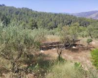 Resale - Country House - Benillup