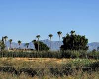 Resale - Country House - Callosa de Segura - Callosa de SeguraAlicanteValenciaSpain