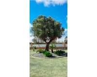 Resale - Country House - Catral - Catral - Country