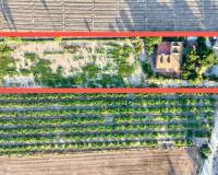 Resale - Country House - Catral - Catral - Town