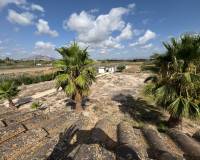 Resale - Country House - Catral - CatralAlicanteValenciaSpain