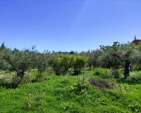 Resale - Country House - Cocentaina